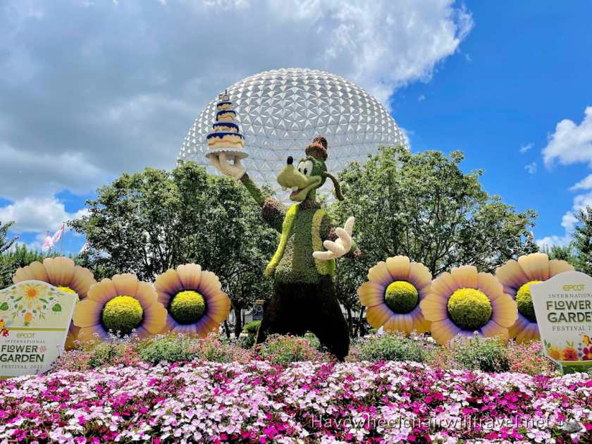 Travel after 2 years - Have Wheelchair Will Travel