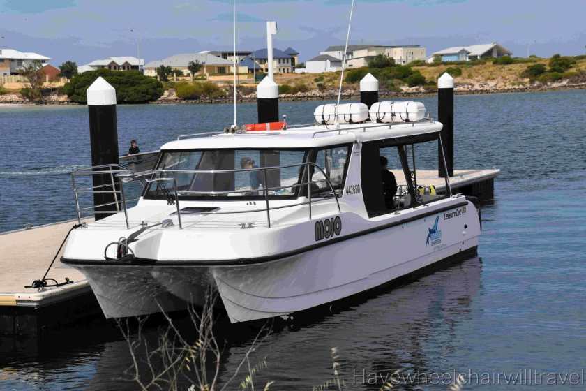 Turquoise Safaris Sea Lion Tours Jurien Bay - Have Wheelchair Will Travel 