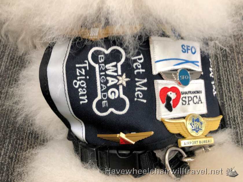 Wag Brigade San Francisco Airport - Have Wheelchair Will Travel