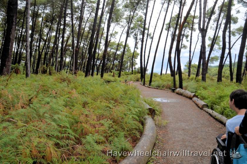 Wai-O-Tapu Thermal Wonderland -Have Wheelchair Will Travel