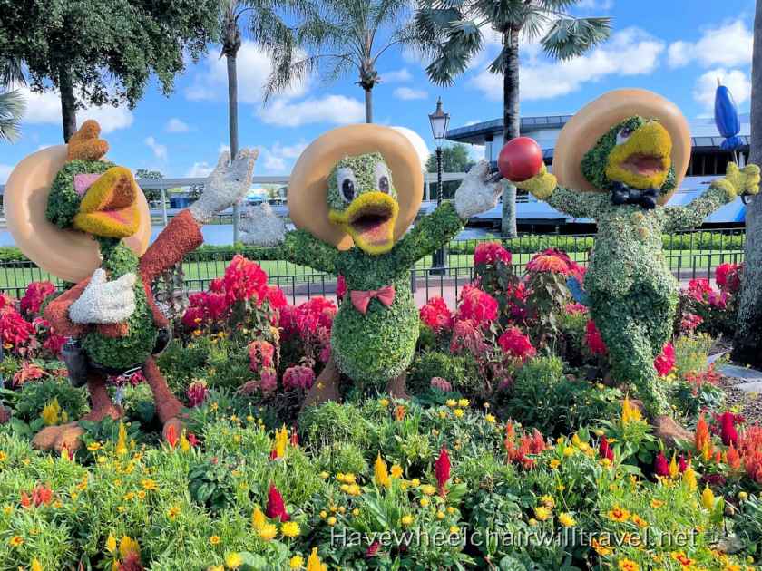 What to pack for Walt Disney World - Have Wheelchair Will Travel